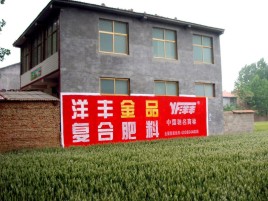 普洱如何让墙体广告展现最大化效果