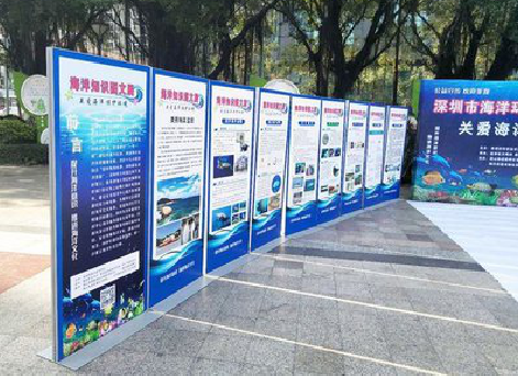 普洱KT板的种类和知识。